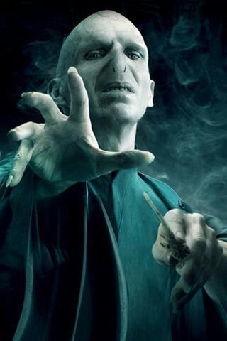 voldemort bobblehead