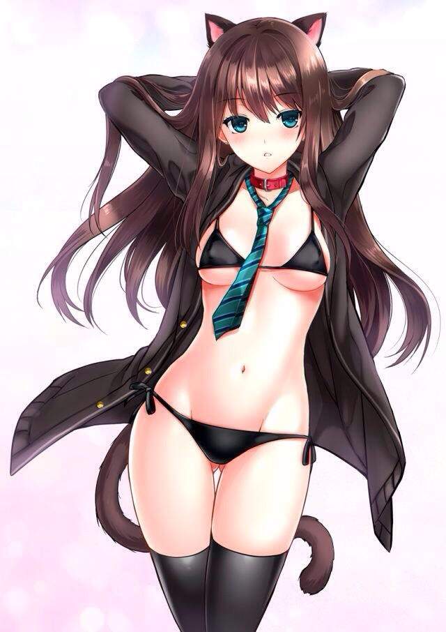 Kathey Neko Swimsuit Anime Amino