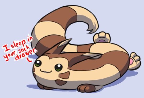 furret actual size