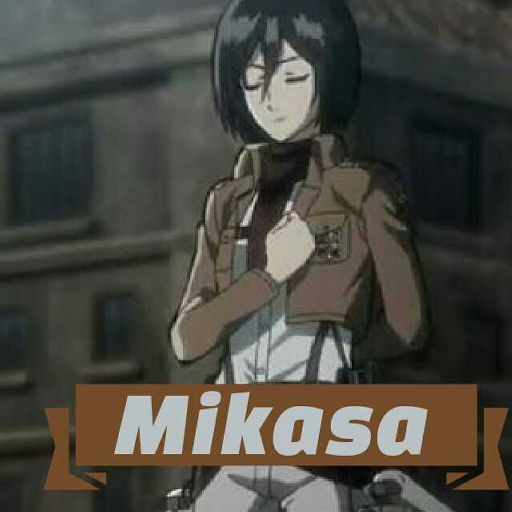 Mikasa Ackerman Wiki Anime Amino Mikasa ackerman diet and nutrition. mikasa ackerman wiki anime amino