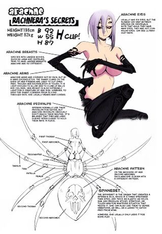 Monster Musume Wiki Anime Amino