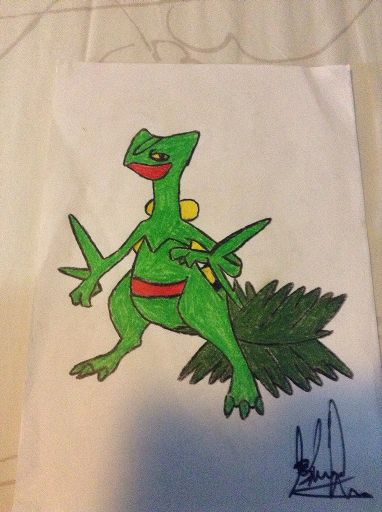 Fan Art 2 Sceptile And Gardevoir