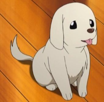 6 Best Anime Animals | Anime Amino