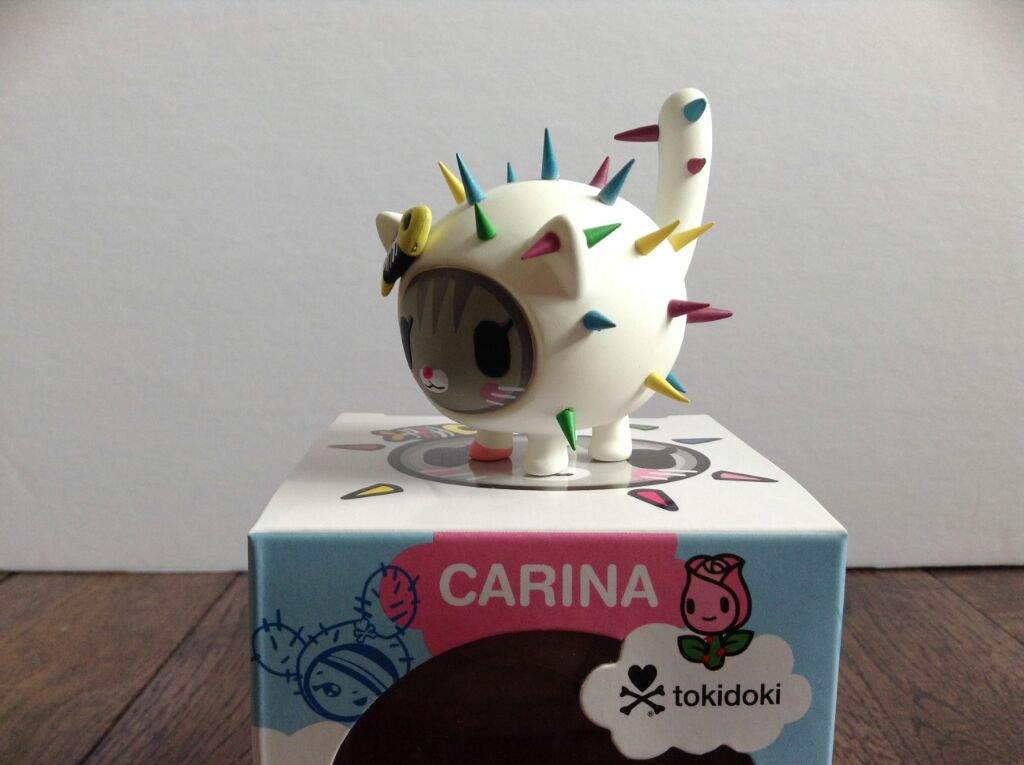 cactus cat tokidoki