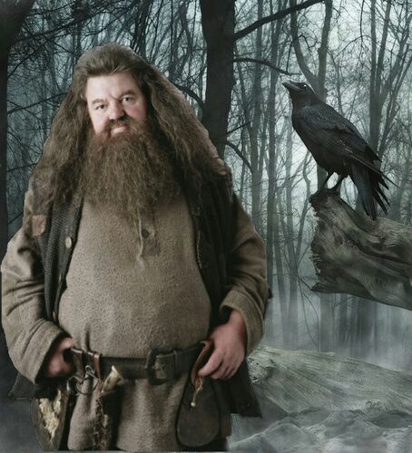 rubeus hagrid in harry potter