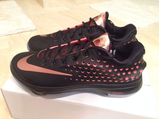 kd 7 rose