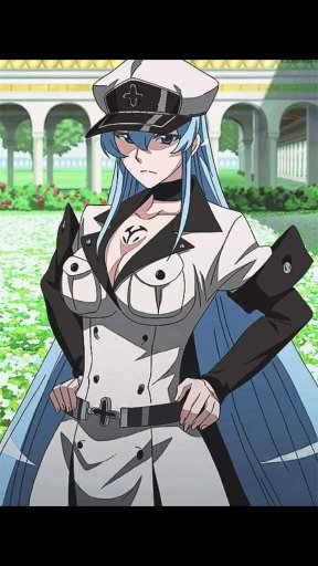general esdeath figure