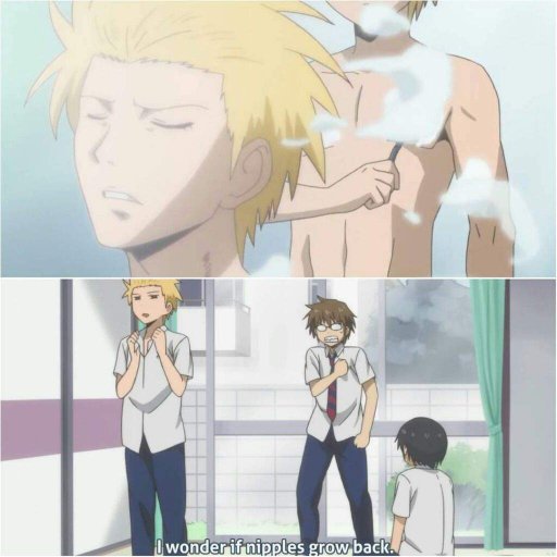 Danshi Kōkōsei No Nichijō Danshi Kōkōsei no Nichijō | Wiki | Anime Amino