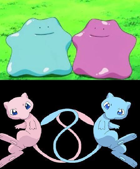 Image result for ditto mew
