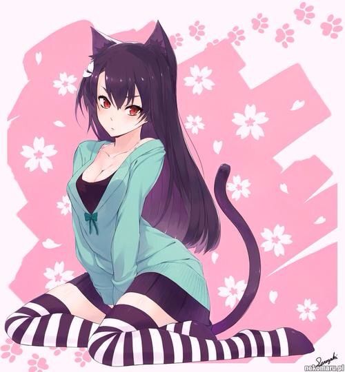 Cute Neko Girls Anime Amino 