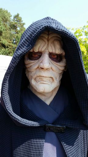 Darth Sidious Makeup Mugeek Vidalondon