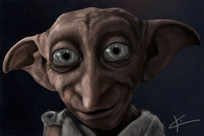 dobby-the-house-elf-harry-potter-amino