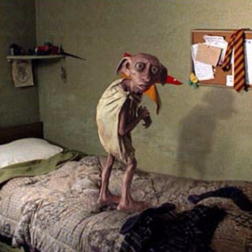 DOBBY THE HOUSE ELF Harry Potter Amino