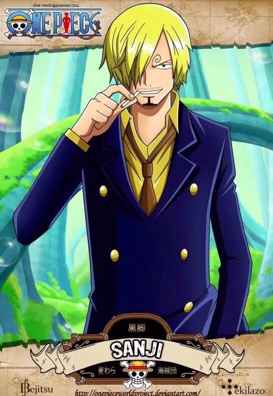 sanji anime heroes