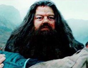 Rubeus Hagrid | Wiki | Harry Potter Amino