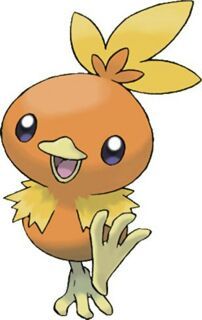 torchic pokedoll