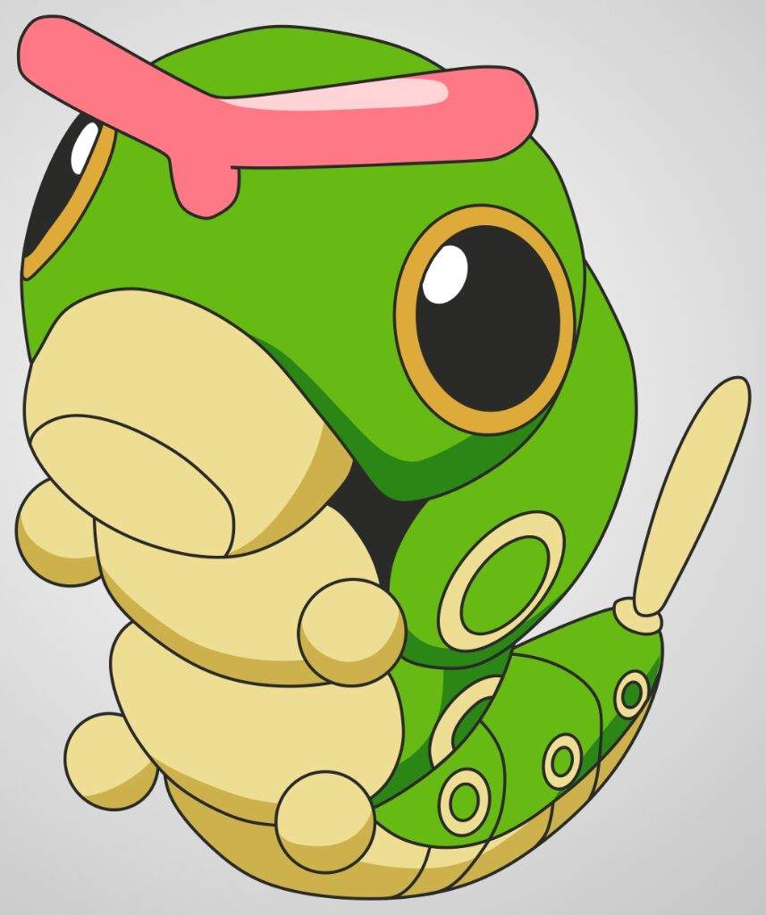 caterpie teddy