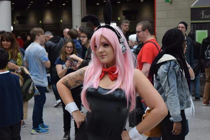 bunny sonico