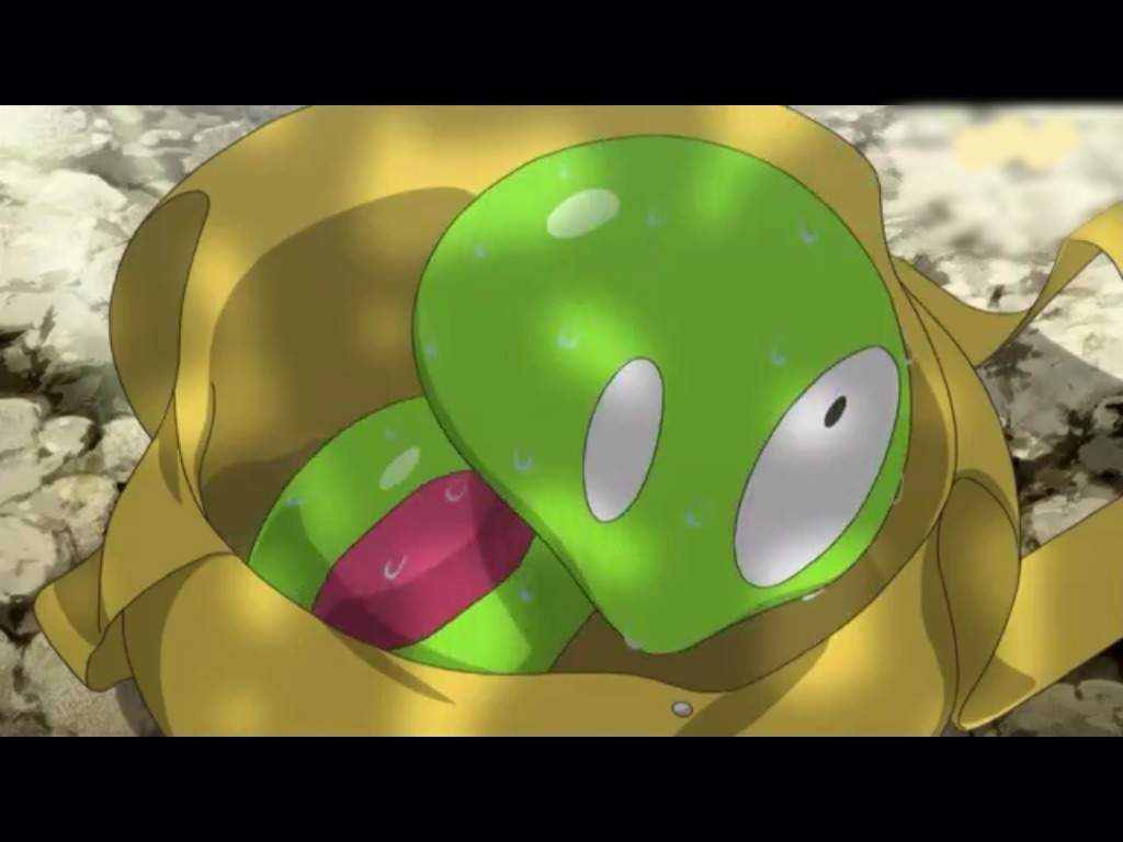 Pokemon Squishy Images Pokemon Images