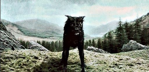 Sirius Black Dog Form Name