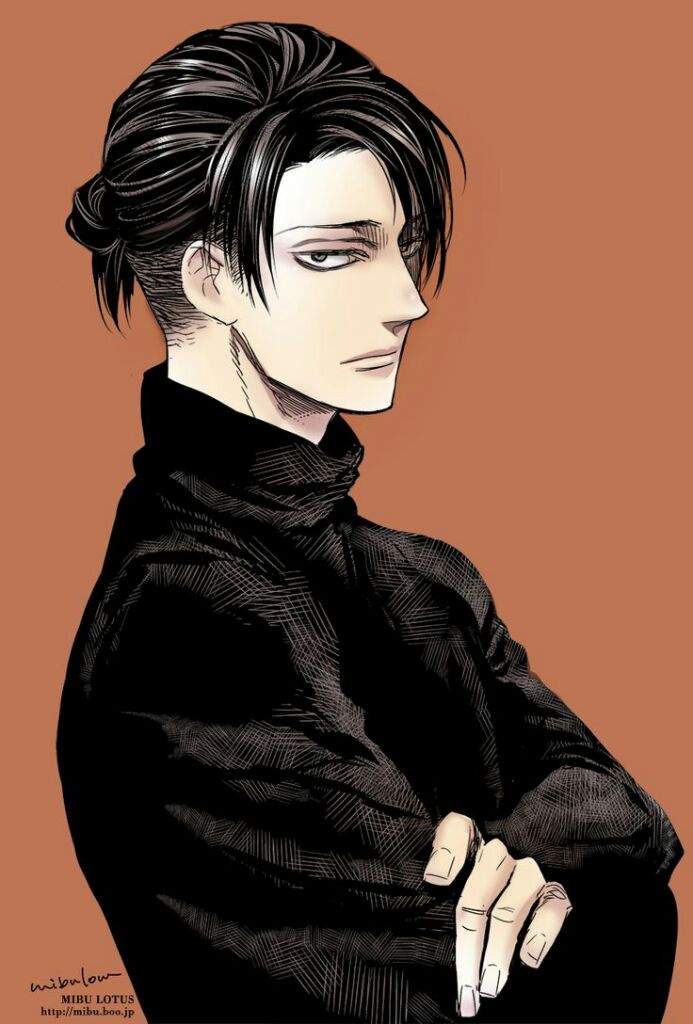What I think about Levi Ackerman hair | Anime Amino
