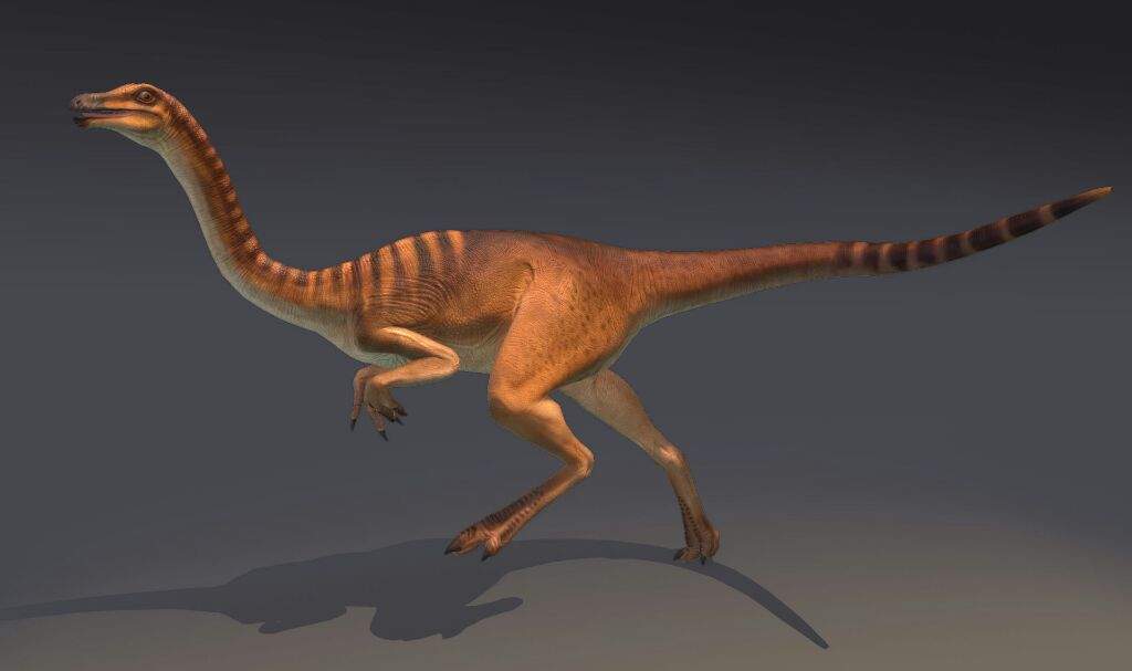 gallimimus velociraptor