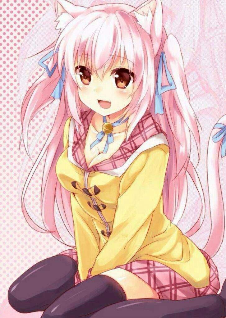 Happy Neko November! :3 | Anime Amino