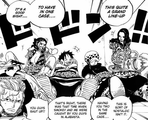 One piece pairings that Will most likely happen. | Anime Amino