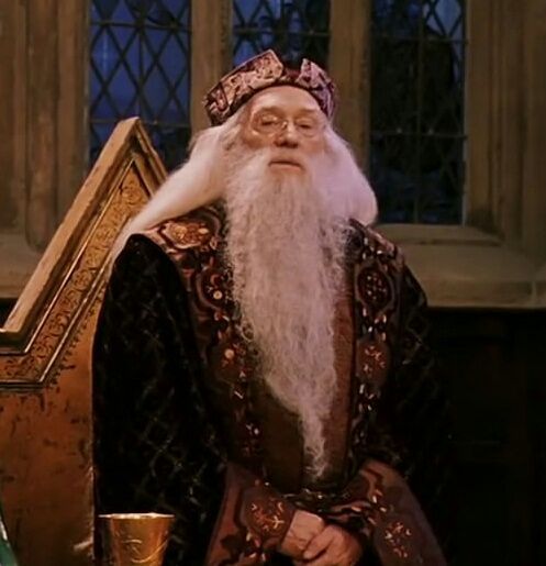 q posket dumbledore