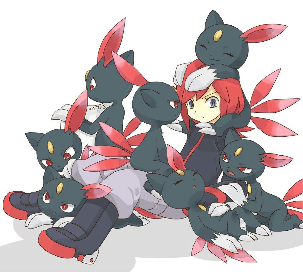 Sneasel Pokémon Amino 4005
