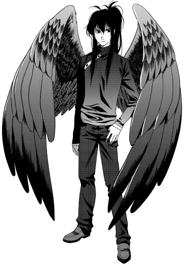 Maximum Ride Series Books & Writing Amino