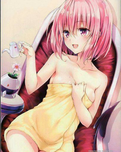 Momo Velia Deviluke Wiki Anime Amino