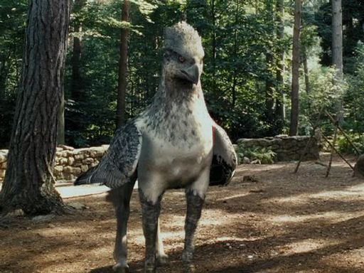 buckbeak-the-hippogriff-wiki-harry-potter-amino