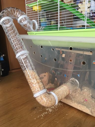 hamster filling tubes with bedding