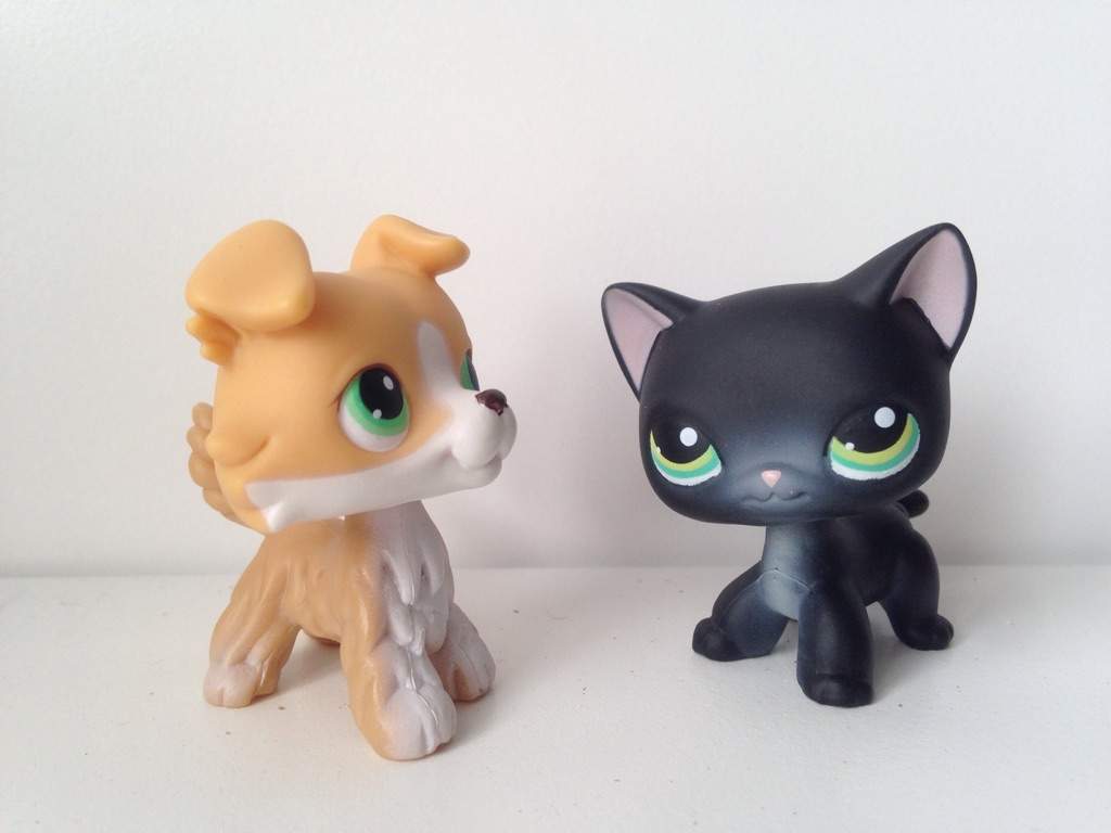Littlest Pet Shop #272 and #336 | Toys Amino