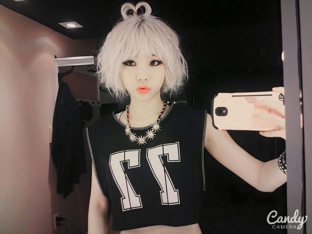 Bulldok | K-Pop Amino