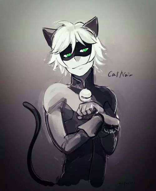 chat noir dessin anime