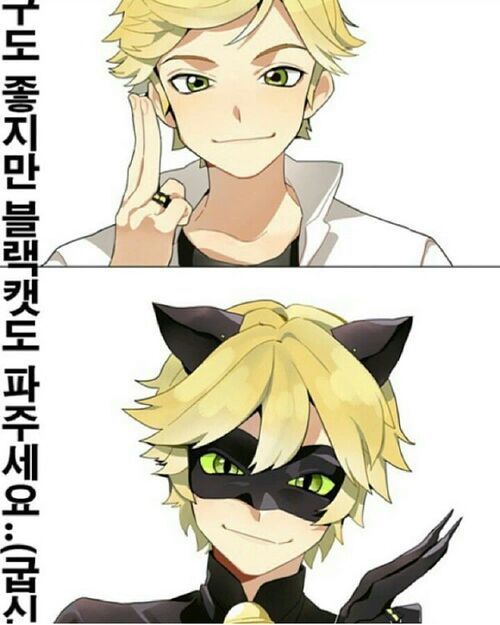 petit chat noir dessin anime