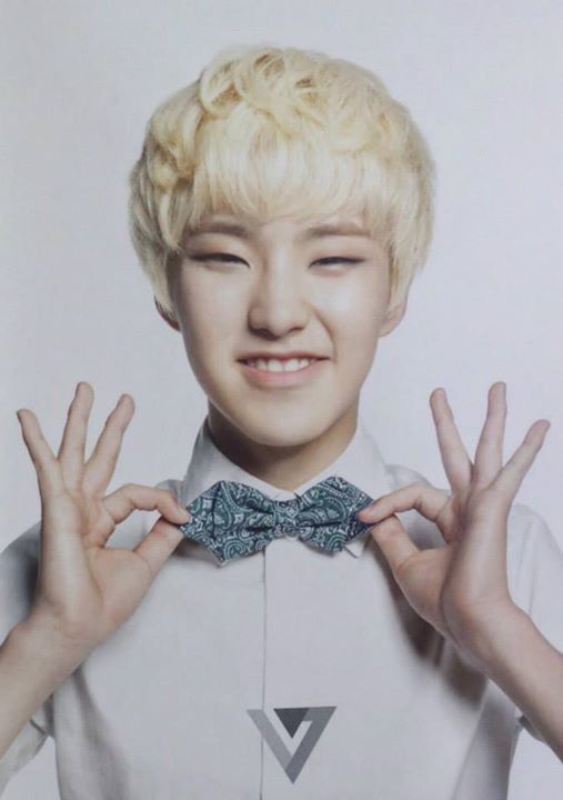 Seventeen- Member Profiles | K-Pop Amino