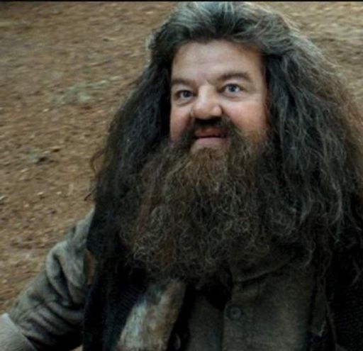 Rubeus Hagrid | Wiki | Harry Potter Amino