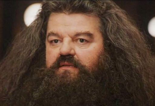 rubeus hagrid zauberstab