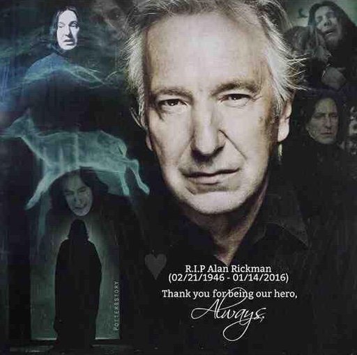 rickman harry potter rickman harry potter