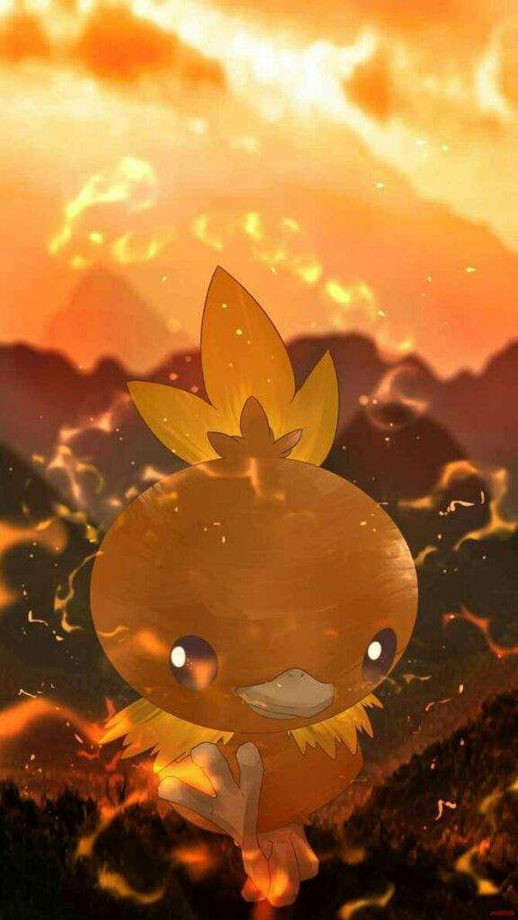 torchic pokedoll