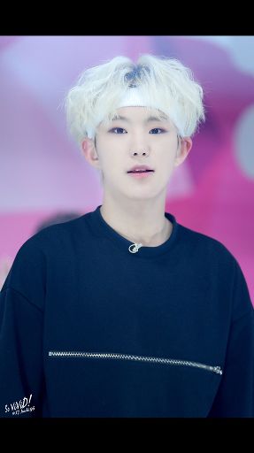 Hoshi Wiki K Pop Amino