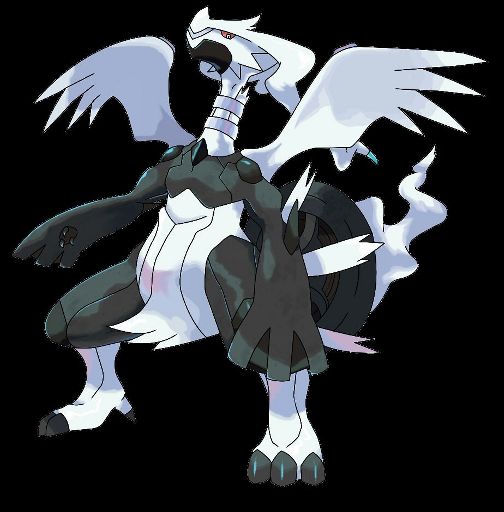 Reshiram Zekrom Pokemon Amino