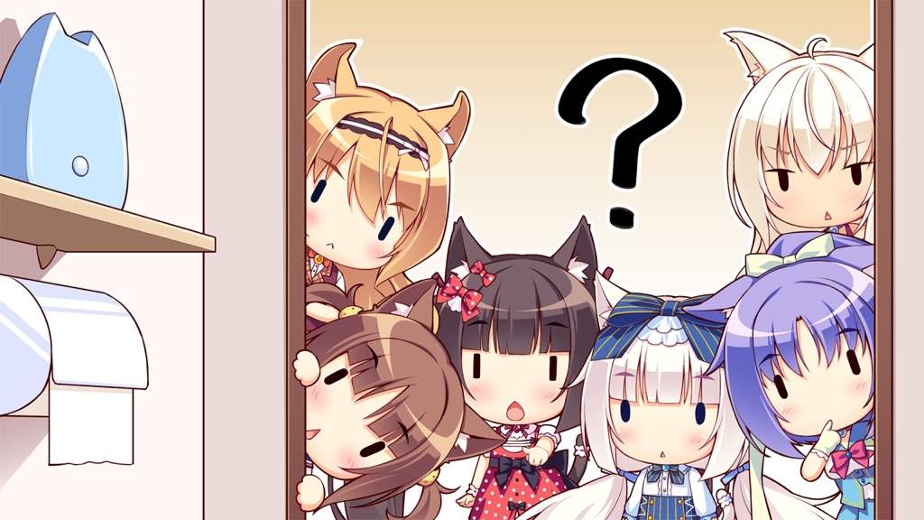 Nekopara Neko Amino