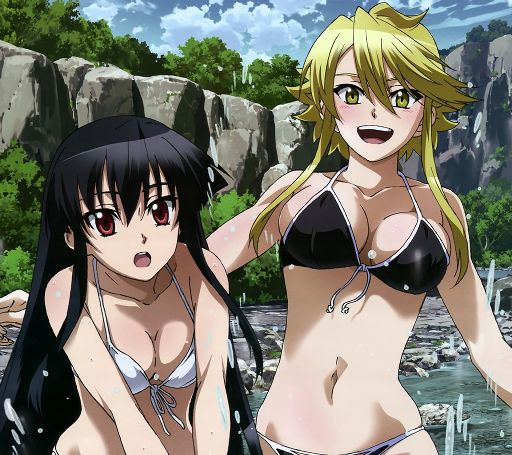 Top 10 Female Akame Ga Kill Characters Anime Amino 