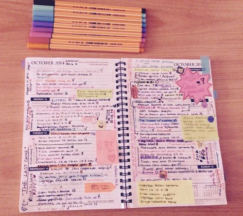 somewhere i belong essay somewhere i belong essay