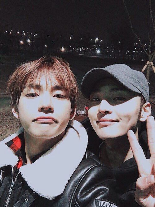 Flower Boy Bromance starring V & Min Jae | K-Pop Amino