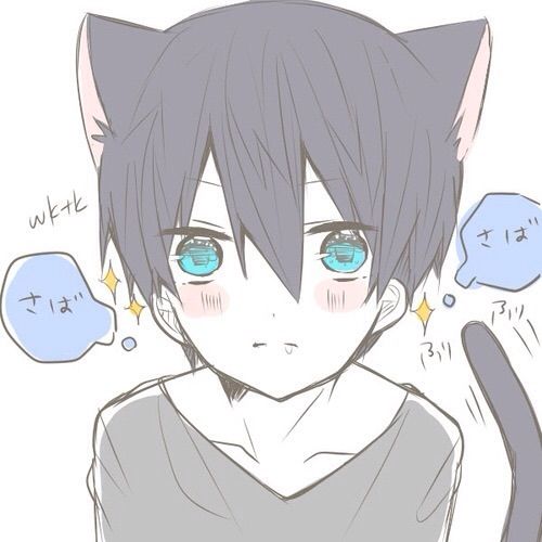 Meow meow~ | Anime Amino